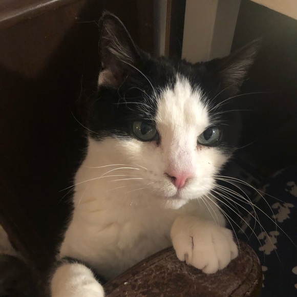 Meet your Posher, Kurt - Picture 1 of 1